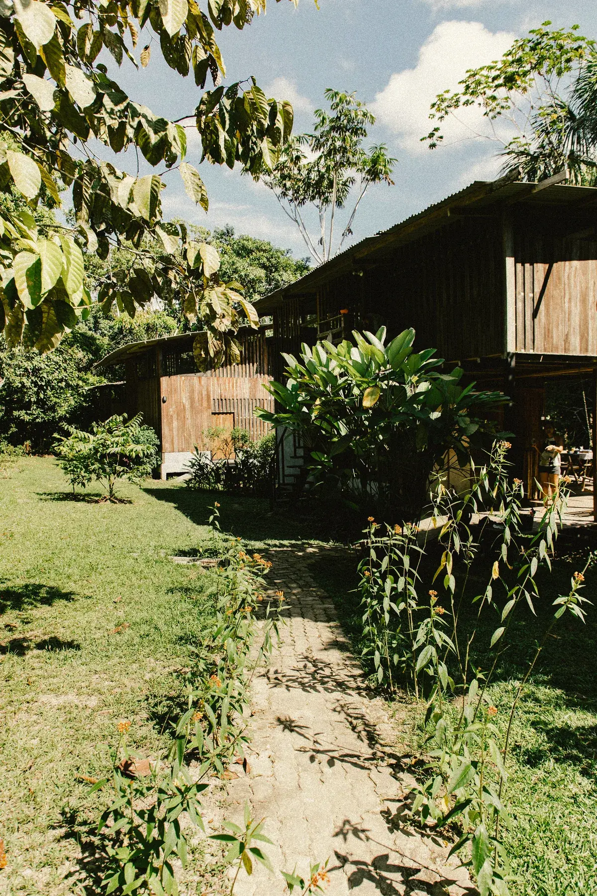 Sendero entre la vegetación hacia las cabañas de Amazona Lodge